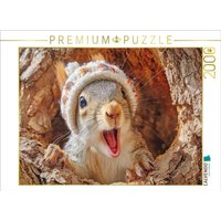 CALVENDO Puzzle Eichhörnchenliebe 2000 Teile Lege-Größe 90x67cm Foto-Puzzle für glückliche Stunden CALVENDO Puzzle Eichhörnchenliebe 2000 Teile Lege-Größe 90x67cm Foto-Puzzle für glückliche Stunden von CALVENDO Verlag GmbH