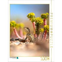 CALVENDO Puzzle Euphorbia Sukkulente und Eidechse 1000 Teile Lege-Größe 64x48cm Foto-Puzzle für glückliche Stunden CALVENDO Puzzle Euphorbia Sukkulente und Eidechse 1000 Teile Lege-Größe 64x48cm Foto-Puzzle für glückliche Stunden von CALVENDO Verlag GmbH