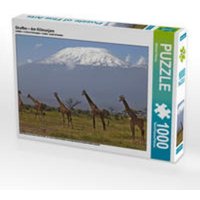 CALVENDO Puzzle Giraffen - Am Kilimanjaro 1000 Teile Lege-Größe 64 x 48 cm Foto-Puzzle Bild von Michael Herzog von Calvendo