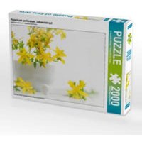 CALVENDO Puzzle Hypericum perforatum; Johanniskraut 2000 Teile Lege-Größe 90 x 67 cm Foto-Puzzle Bild von Avianaarts Design Fotografie by Tanja Riedel CALVENDO Puzzle Hypericum perforatum; Johanniskraut 2000 Teile Lege-Größe 90 x 67 cm Foto-Puzzle Bild von Avianaarts Design Fotografie by Tanja Riedel von Calvendo Puzzle