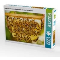 CALVENDO Puzzle Imker zeigt eine seiner Bienenwaben mit vielen Honigbienen. 1000 Teile Lege-Größe 64x48cm Foto-Puzzle für glückliche Stunden CALVENDO Puzzle Imker zeigt eine seiner Bienenwaben mit vielen Honigbienen. 1000 Teile Lege-Größe 64x48cm Foto-Puzzle für glückliche Stunden von CALVENDO Verlag GmbH