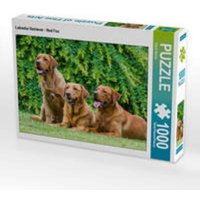 CALVENDO Puzzle Labrador Retriever - Red Fox 1000 Teile Lege-Größe 64x48cm Foto-Puzzle für glückliche Stunden CALVENDO Puzzle Labrador Retriever - Red Fox 1000 Teile Lege-Größe 64x48cm Foto-Puzzle für glückliche Stunden von Calvendo