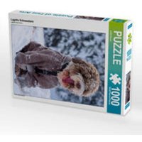 CALVENDO Puzzle Lagotto Schneealarm 1000 Teile Lege-Größe 64x48cm Foto-Puzzle für glückliche Stunden CALVENDO Puzzle Lagotto Schneealarm 1000 Teile Lege-Größe 64x48cm Foto-Puzzle für glückliche Stunden von Calvendo Puzzle