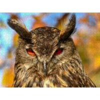 CALVENDO Puzzle Uhu 1000 Teile Lege-Größe 64x48cm Foto-Puzzle für glückliche Stunden CALVENDO Puzzle Uhu 1000 Teile Lege-Größe 64x48cm Foto-Puzzle für glückliche Stunden von Calvendo Puzzle