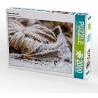 CALVENDO Puzzle Unterm Raureif 2000 Teile Puzzle quer 2000 Teile Lege-Größe 90 × 67 cm Foto-Puzzle für glückliche Stunden CALVENDO Puzzle Unterm Raureif 2000 Teile Puzzle quer 2000 Teile Lege-Größe 90 × 67 cm Foto-Puzzle für glückliche Stunden von Calvendo Puzzle