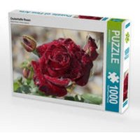 CALVENDO Puzzle Zauberhafte Rosen | 1000 Teile Lege-Größe 64x48cm Foto-Puzzle für glückliche Stunden von CALVENDO Verlag GmbH