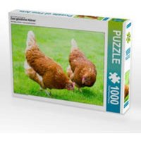 CALVENDO Puzzle Zwei glückliche Hühner 1000 Teile Puzzle quer 1000 Teile Lege-Größe 64 × 48 cm Foto-Puzzle für glückliche Stunden CALVENDO Puzzle Zwei glückliche Hühner 1000 Teile Puzzle quer 1000 Teile Lege-Größe 64 × 48 cm Foto-Puzzle für glückliche Stunden von CALVENDO Verlag GmbH