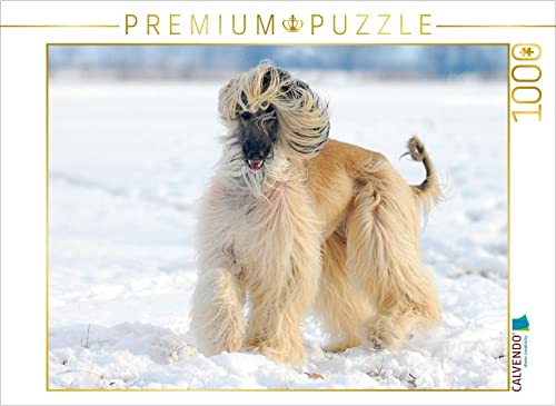 CALVENDO Puzzle Afghanischer Windhund - Anmutige Schönheit 1000 Teile Puzzle quer | 1000 Teile Lege-Größe 64 x 48 cm Foto-Puzzle für glückliche Stunden CALVENDO Puzzle Afghanischer Windhund - Anmutige Schönheit 1000 Teile Puzzle quer | 1000 Teile Lege-Größe 64 x 48 cm Foto-Puzzle für glückliche Stunden von CALVENDO