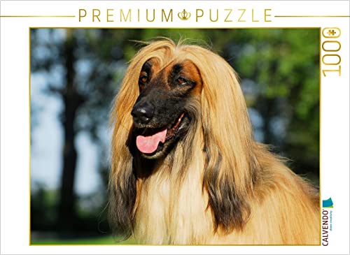 CALVENDO Puzzle Afghanischer Windhund - Rüdenporträt 1000 Teile Puzzle quer | 1000 Teile Lege-Größe 64 x 48 cm Foto-Puzzle für glückliche Stunden CALVENDO Puzzle Afghanischer Windhund - Rüdenporträt 1000 Teile Puzzle quer | 1000 Teile Lege-Größe 64 x 48 cm Foto-Puzzle für glückliche Stunden von CALVENDO