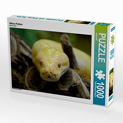 CALVENDO Puzzle Albino Python 1000 Teile Puzzle quer | 1000 Teile Lege-Größe 64 x 48 cm Foto-Puzzle für glückliche Stunden CALVENDO Puzzle Albino Python 1000 Teile Puzzle quer | 1000 Teile Lege-Größe 64 x 48 cm Foto-Puzzle für glückliche Stunden von CALVENDO