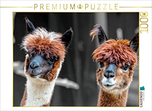 CALVENDO Puzzle EIN Motiv aus dem Kalender Alpaka Gesichter 1000 Teile Puzzle quer | 1000 Teile Lege-Größe 64 x 48 cm Foto-Puzzle für glückliche Stunden von CALVENDO