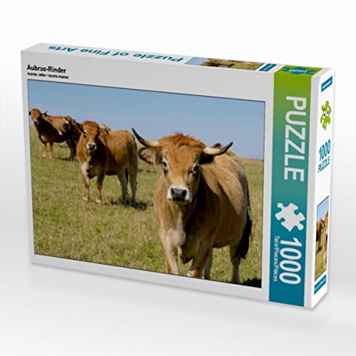 CALVENDO Puzzle Aubrac-Rinder 1000 Teile Puzzle quer | Lege-Größe cm Foto-Puzzle für glückliche Stunden CALVENDO Puzzle Aubrac-Rinder 1000 Teile Puzzle quer | Lege-Größe cm Foto-Puzzle für glückliche Stunden von CALVENDO