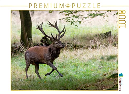 CALVENDO Puzzle Aufgeregt vertreibt der Platzhirsch die Nebenbuhler. 1000 Teile Puzzle quer | 1000 Teile Lege-Größe 64 x 48 cm Foto-Puzzle für glückliche Stunden CALVENDO Puzzle Aufgeregt vertreibt der Platzhirsch die Nebenbuhler. 1000 Teile Puzzle quer | 1000 Teile Lege-Größe 64 x 48 cm Foto-Puzzle für glückliche Stunden von CALVENDO