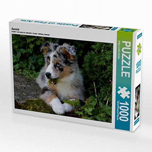 CALVENDO Puzzle Aussie 1000 Teile Lege-Größe 64 x 48 cm Foto-Puzzle Bild von Antje Lindert-Rottke CALVENDO Puzzle Aussie 1000 Teile Lege-Größe 64 x 48 cm Foto-Puzzle Bild von Antje Lindert-Rottke von CALVENDO