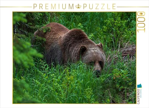 CALVENDO Puzzle Bär im Grünen | 1000 Teile Lege-Größe 64 x 48 cm Foto-Puzzle für glückliche Stunden CALVENDO Puzzle Bär im Grünen | 1000 Teile Lege-Größe 64 x 48 cm Foto-Puzzle für glückliche Stunden von CALVENDO