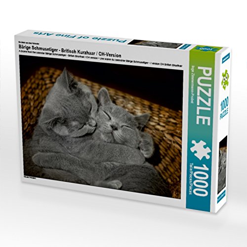 CALVENDO Puzzle EIN Motiv aus dem Kalender Bärige Schmusetiger - Britisch Kurzhaar/CH-Version 1000 Teile Puzzle quer | 1000 Teile Lege-Größe 64 x 48 cm Foto-Puzzle für glückliche Stunden von CALVENDO