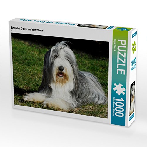 CALVENDO Puzzle Bearded Collie auf der Wiese 1000 Teile Lege-Größe 64 x 48 cm Foto-Puzzle Bild von Sista-Tierfoto von CALVENDO