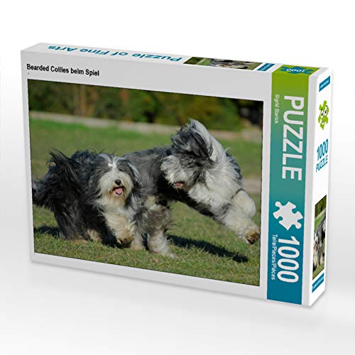 CALVENDO Puzzle Bearded Collies beim Spiel 1000 Teile Puzzle quer | 1000 Teile Lege-Größe 64 x 48 cm Foto-Puzzle für glückliche Stunden CALVENDO Puzzle Bearded Collies beim Spiel 1000 Teile Puzzle quer | 1000 Teile Lege-Größe 64 x 48 cm Foto-Puzzle für glückliche Stunden von CALVENDO