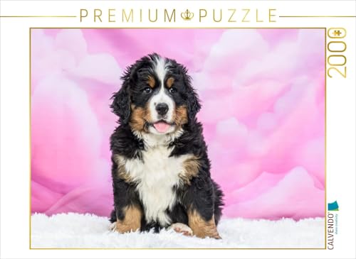 CALVENDO Puzzle Berner Sennenhund Baby | 2000 Teile Lege-Größe 90 x 67 cm Foto-Puzzle für glückliche Stunden von CALVENDO