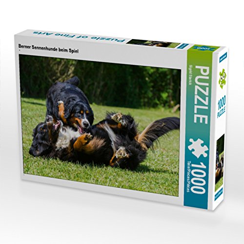 CALVENDO Puzzle Berner Sennenhunde beim Spiel 1000 Teile Puzzle quer | 1000 Teile Lege-Größe 64 x 48 cm Foto-Puzzle für glückliche Stunden CALVENDO Puzzle Berner Sennenhunde beim Spiel 1000 Teile Puzzle quer | 1000 Teile Lege-Größe 64 x 48 cm Foto-Puzzle für glückliche Stunden von CALVENDO