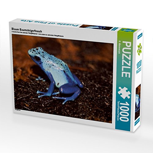 CALVENDO Puzzle Blauer Baumsteigerfrosch 1000 Teile Puzzle quer | Lege-Größe cm Foto-Puzzle für glückliche Stunden CALVENDO Puzzle Blauer Baumsteigerfrosch 1000 Teile Puzzle quer | Lege-Größe cm Foto-Puzzle für glückliche Stunden von CALVENDO