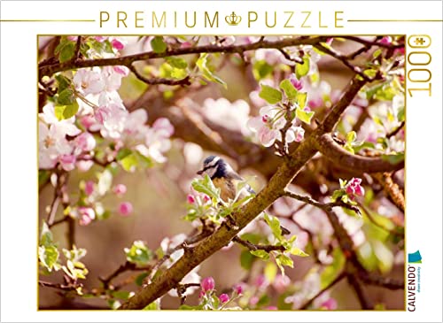 CALVENDO Puzzle Blaumeise im Frühling 1000 Teile Puzzle quer | 1000 Teile Lege-Größe 64 x 48 cm Foto-Puzzle für glückliche Stunden CALVENDO Puzzle Blaumeise im Frühling 1000 Teile Puzzle quer | 1000 Teile Lege-Größe 64 x 48 cm Foto-Puzzle für glückliche Stunden von CALVENDO