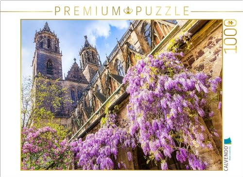 CALVENDO Puzzle Blühender Blauregen im Kreuzgang des Magdeburger Doms | 1000 Teile Lege-Größe 64 x 48 cm Foto-Puzzle für glückliche Stunden von CALVENDO