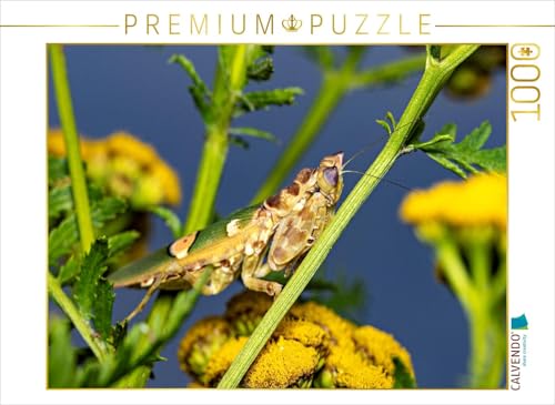 CALVENDO Puzzle Blütenmantis | 1000 Teile Lege-Größe 64 x 48 cm Foto-Puzzle für glückliche Stunden von CALVENDO