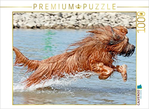CALVENDO Puzzle Briard voller Lebensfreude beim Spielen 1000 Teile Puzzle quer | 1000 Teile Lege-Größe 64 x 48 cm Foto-Puzzle für glückliche Stunden CALVENDO Puzzle Briard voller Lebensfreude beim Spielen 1000 Teile Puzzle quer | 1000 Teile Lege-Größe 64 x 48 cm Foto-Puzzle für glückliche Stunden von CALVENDO