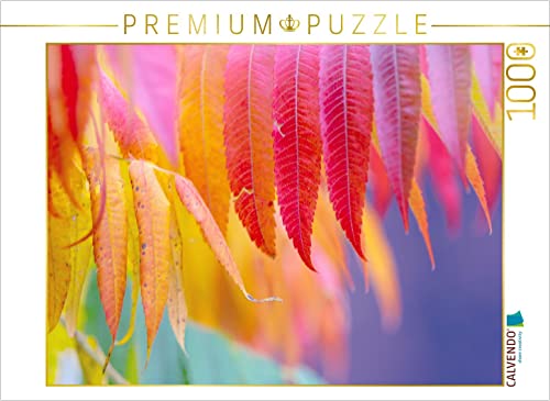 CALVENDO Puzzle Buntes Herbstlaub 1000 Teile Puzzle quer | 1000 Teile Lege-Größe 64 x 48 cm Foto-Puzzle für glückliche Stunden CALVENDO Puzzle Buntes Herbstlaub 1000 Teile Puzzle quer | 1000 Teile Lege-Größe 64 x 48 cm Foto-Puzzle für glückliche Stunden von CALVENDO