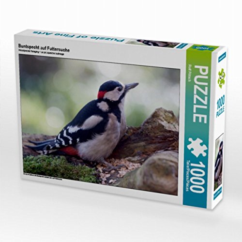 CALVENDO Puzzle Buntspecht auf Futtersuche 1000 Teile Puzzle quer | 1000 Teile Lege-Größe 64 x 48 cm Foto-Puzzle für glückliche Stunden CALVENDO Puzzle Buntspecht auf Futtersuche 1000 Teile Puzzle quer | 1000 Teile Lege-Größe 64 x 48 cm Foto-Puzzle für glückliche Stunden von CALVENDO