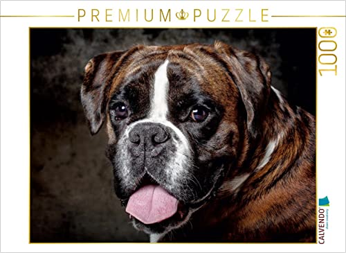 CALVENDO Puzzle Charakter Boxer 1000 Teile Puzzle quer | 1000 Teile Lege-Größe 64 x 48 cm Foto-Puzzle für glückliche Stunden von CALVENDO