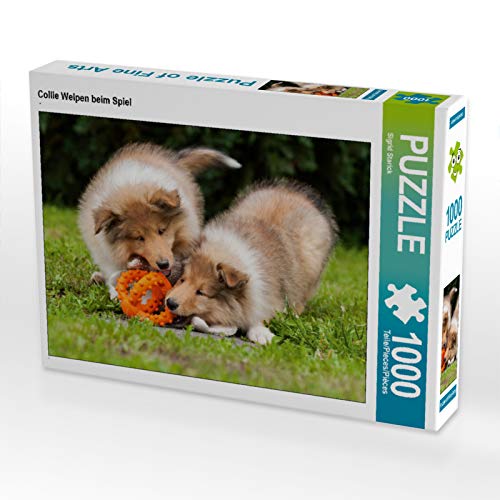CALVENDO Puzzle Collie Welpen beim Spiel 1000 Teile Puzzle quer | 1000 Teile Lege-Größe 64 x 48 cm Foto-Puzzle für glückliche Stunden CALVENDO Puzzle Collie Welpen beim Spiel 1000 Teile Puzzle quer | 1000 Teile Lege-Größe 64 x 48 cm Foto-Puzzle für glückliche Stunden von CALVENDO