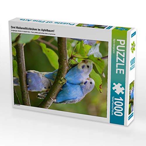 CALVENDO Puzzle DREI Wellensittichküken im Apfelbaum! 1000 Teile Lege-Größe 48 x 64 cm Foto-Puzzle Bild von Björn Bergmann von CALVENDO