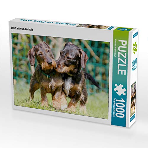 CALVENDO Puzzle Dackelfreundschaft 1000 Teile Puzzle quer | 1000 Teile Lege-Größe 64 x 48 cm Foto-Puzzle für glückliche Stunden von CALVENDO