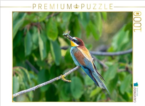 CALVENDO Puzzle Der Bienenfresser - EIN Motiv aus dem Kalender Unsere Vogelvielfalt: EIN Schatz zum Entdecken und Schützen | 1000 Teile Lege-Größe 64 x 48 cm Foto-Puzzle für glückliche Stunden CALVENDO Puzzle Der Bienenfresser - EIN Motiv aus dem Kalender Unsere Vogelvielfalt: EIN Schatz zum Entdecken und Schützen | 1000 Teile Lege-Größe 64 x 48 cm Foto-Puzzle für glückliche Stunden von CALVENDO