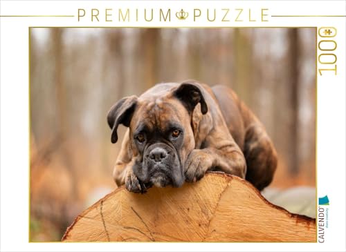 CALVENDO Puzzle Der Boxer und das Holz der Zeit | 1000 Teile Lege-Größe 64 x 48 cm Foto-Puzzle für glückliche Stunden CALVENDO Puzzle Der Boxer und das Holz der Zeit | 1000 Teile Lege-Größe 64 x 48 cm Foto-Puzzle für glückliche Stunden von CALVENDO