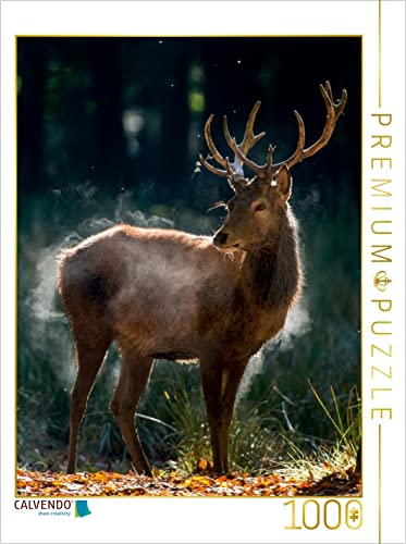 CALVENDO Puzzle Der Junge Hirsch schüttelt die Herbstfeuchte aus dem Fell. 1000 Teile Lege-Größe 48 x 64 cm Foto-Puzzle Bild von Ingo Gerlach CALVENDO Puzzle Der Junge Hirsch schüttelt die Herbstfeuchte aus dem Fell. 1000 Teile Lege-Größe 48 x 64 cm Foto-Puzzle Bild von Ingo Gerlach von CALVENDO