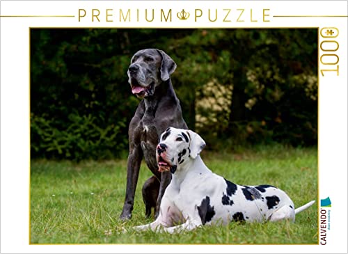 CALVENDO Puzzle Deutsche Dogge 2017 1000 Teile Lege-Größe 64 x 48 cm Foto-Puzzle Bild von Sista-Tierfoto von CALVENDO