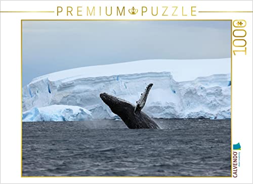 CALVENDO Puzzle Die Antarktis / CH-Version 1000 Teile Lege-Größe 64 x 48 cm Foto-Puzzle Bild von Roland Brack CALVENDO Puzzle Die Antarktis / CH-Version 1000 Teile Lege-Größe 64 x 48 cm Foto-Puzzle Bild von Roland Brack von CALVENDO