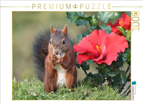 CALVENDO Puzzle Dunkelpuschel mit großer Hibiskusblüte | 1000 Teile Lege-Größe 64 x 48 cm Foto-Puzzle für glückliche Stunden von CALVENDO