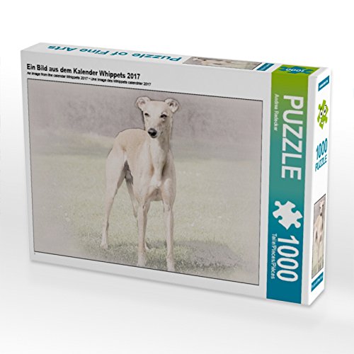 CALVENDO Puzzle EIN Bild aus dem Kalender Whippets 2017 1000 Teile Puzzle quer | 1000 Teile Lege-Größe 64 x 48 cm Foto-Puzzle für glückliche Stunden CALVENDO Puzzle EIN Bild aus dem Kalender Whippets 2017 1000 Teile Puzzle quer | 1000 Teile Lege-Größe 64 x 48 cm Foto-Puzzle für glückliche Stunden von CALVENDO