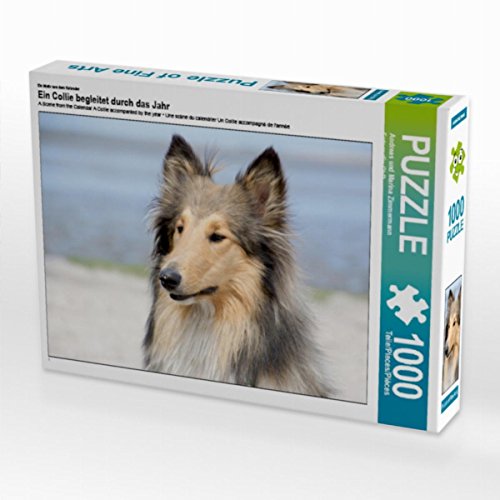 CALVENDO Puzzle EIN Collie begleitet durch das Jahr 1000 Teile Lege-Größe 64 x 48 cm Foto-Puzzle Bild von Andreas und Marina Zimmermann GbR CALVENDO Puzzle EIN Collie begleitet durch das Jahr 1000 Teile Lege-Größe 64 x 48 cm Foto-Puzzle Bild von Andreas und Marina Zimmermann GbR von CALVENDO