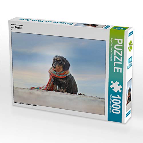 CALVENDO Puzzle EIN Motiv aus dem Kalender Der Dackel 1000 Teile Puzzle quer | 1000 Teile Lege-Größe 64 x 48 cm Foto-Puzzle für glückliche Stunden von CALVENDO