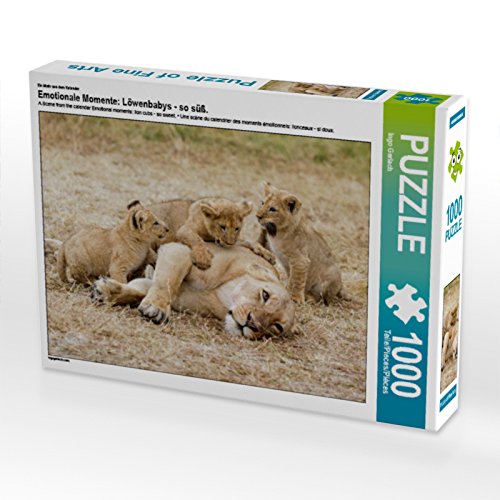CALVENDO Puzzle EIN Motiv aus dem Kalender Emotionale Momente: Löwenbabys - so süß. 1000 Teile Puzzle quer | 1000 Teile Lege-Größe 64 x 48 cm Foto-Puzzle für glückliche Stunden CALVENDO Puzzle EIN Motiv aus dem Kalender Emotionale Momente: Löwenbabys - so süß. 1000 Teile Puzzle quer | 1000 Teile Lege-Größe 64 x 48 cm Foto-Puzzle für glückliche Stunden von CALVENDO