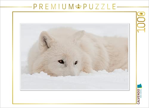 CALVENDO Puzzle EIN Motiv aus dem Kalender Emotionale Momente: Polarwölfe. / CH-Version 1000 Teile Puzzle quer | 1000 Teile Lege-Größe 64 x 48 cm Foto-Puzzle für glückliche Stunden CALVENDO Puzzle EIN Motiv aus dem Kalender Emotionale Momente: Polarwölfe. / CH-Version 1000 Teile Puzzle quer | 1000 Teile Lege-Größe 64 x 48 cm Foto-Puzzle für glückliche Stunden von CALVENDO