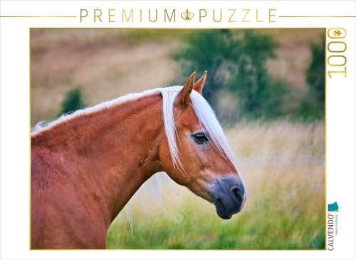 CALVENDO Puzzle EIN Motiv aus dem Kalender Familienfreundliche Pferde | 1000 Teile Lege-Größe 64 x 48 cm Foto-Puzzle für glückliche Stunden CALVENDO Puzzle EIN Motiv aus dem Kalender Familienfreundliche Pferde | 1000 Teile Lege-Größe 64 x 48 cm Foto-Puzzle für glückliche Stunden von CALVENDO