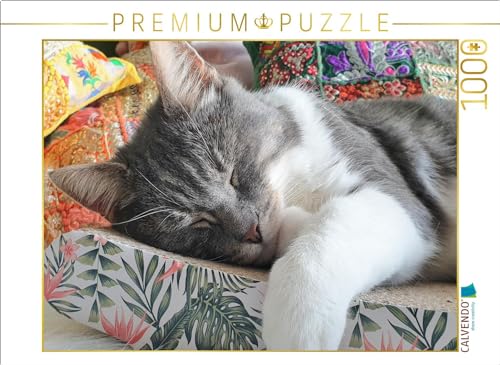 CALVENDO Puzzle EIN Motiv aus dem Kalender Häng einfach mal ab | 1000 Teile Lege-Größe 64 x 48 cm Foto-Puzzle für glückliche Stunden CALVENDO Puzzle EIN Motiv aus dem Kalender Häng einfach mal ab | 1000 Teile Lege-Größe 64 x 48 cm Foto-Puzzle für glückliche Stunden von CALVENDO