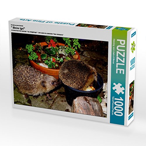 CALVENDO Puzzle EIN Motiv aus dem Kalender Meine Igel 1000 Teile Puzzle quer | 1000 Teile Lege-Größe 64 x 48 cm Foto-Puzzle für glückliche Stunden CALVENDO Puzzle EIN Motiv aus dem Kalender Meine Igel 1000 Teile Puzzle quer | 1000 Teile Lege-Größe 64 x 48 cm Foto-Puzzle für glückliche Stunden von CALVENDO