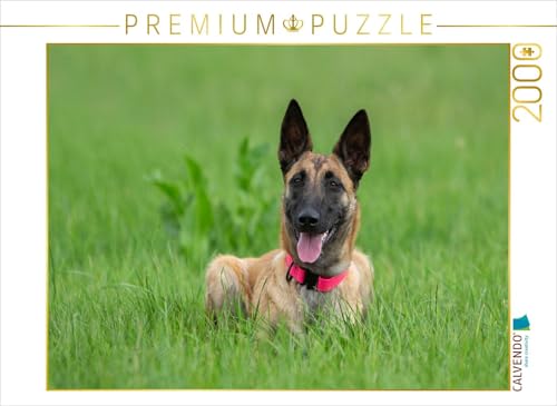 CALVENDO Puzzle EIN Motiv aus dem Kalender Traumhund Malinois | 2000 Teile Lege-Größe 90 x 67 cm Foto-Puzzle für glückliche Stunden von CALVENDO